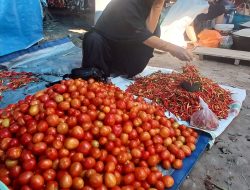 Harga Tomat dan Cabai Meroket di Parigi