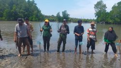 Dua Ribu Bibit Mangrove Ditanam, Selamatkan Pesisir