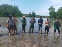 Dua Ribu Bibit Mangrove Ditanam, Selamatkan Pesisir