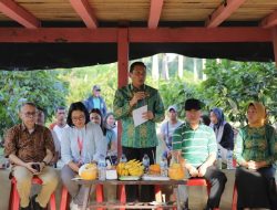 Kakao Kotamobagu Dilirik Jepang, Petani Diminta Jujur