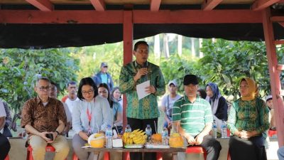 Kakao Kotamobagu Dilirik Jepang, Petani Diminta Jujur