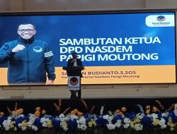 Sayutin Budianto: 14 DPC Nasdem Resmi di Lantik Perkuat Mesin Partai Menuju Pemilu 2029