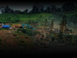 Tambang Emas Ilegal Parigi Moutong Kembali Marak Pasca Operasi