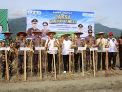 Kejati Sulteng Panen Jagung, Perkuat Ketahanan Pangan Daerah