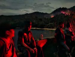 Pemadaman Dipercepat, Sekda Parigi Moutong Tinjau Lokasi Karhutla,