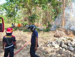 Capai 14 Kejadian Hingga Awal 2026 Karhutla di Parigi Moutong