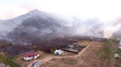 Karhutla Parigi Utara Hanguskan 20 Hektare, Warga Mengungsi