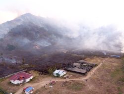 Karhutla Parigi Utara Hanguskan 20 Hektare, Warga Mengungsi