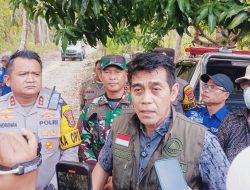 Karhutla Parigi Moutong Masuki Fase Kritis, Ancam Lahan Warga