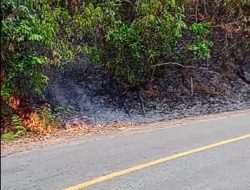 Diduga Puntung Rokok, Satu Hektare Lahan Terbakar