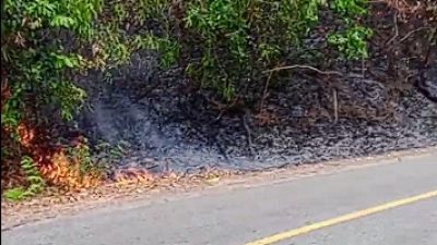 Diduga Puntung Rokok, Satu Hektare Lahan Terbakar