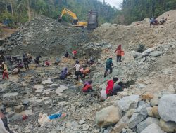 Tambang dan Asa: Harmoni Tradisional-Moderen di Parigi Moutong