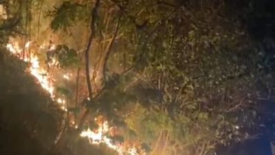 Api Cepat Membesar, Karhutla Kembali Melanda Parigi Moutong