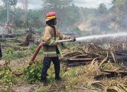 Lahan BUMDes Baliara Terbakar, Diduga Akibat Pembakaran Lahan Warga
