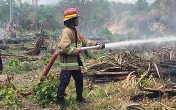 Lahan BUMDes Baliara Terbakar, Diduga Akibat Pembakaran Lahan Warga