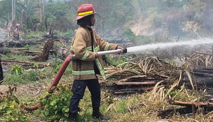 Lahan BUMDes Baliara Terbakar, Diduga Akibat Pembakaran Lahan Warga
