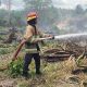 Lahan BUMDes Baliara Terbakar, Diduga Akibat Pembakaran Lahan Warga