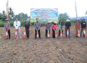 Polres Parigi Moutong Gelar Penanaman Jagung Serentak Dukung Swasembada