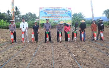 Polres Parigi Moutong Gelar Penanaman Jagung Serentak Dukung Swasembada