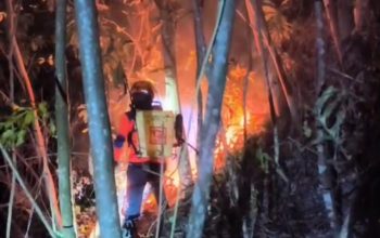 Karhutla Desa Jononunu Parigi Moutong, Tiga Titik Api Berhasil Dipadamkan