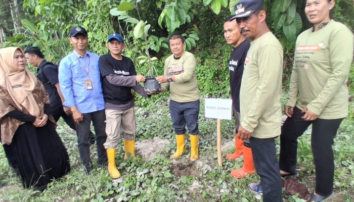 Gerakan Tanam Pohon Parimo, Upaya Nyata Hadapi Perubahan Iklim