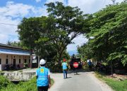 PLN Parigi Dorong Kolaborasi Penataan Pohon Demi Keselamatan