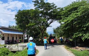 PLN Parigi Dorong Kolaborasi Penataan Pohon Demi Keselamatan
