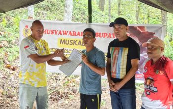 Nahkodai PABERSI Parimo, Abdul Gafur Langkah Awal Pengembangan Cabor