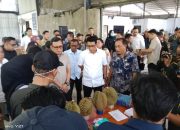 Durian Parigi Moutong Tembus Tiongkok, Petani Kian Optimistis