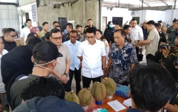 Durian Parigi Moutong Tembus Tiongkok, Petani Kian Optimistis