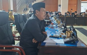 Arifin Soroti Layanan Kesehatan Pajak UMKM dan Tambang Parigi Moutong