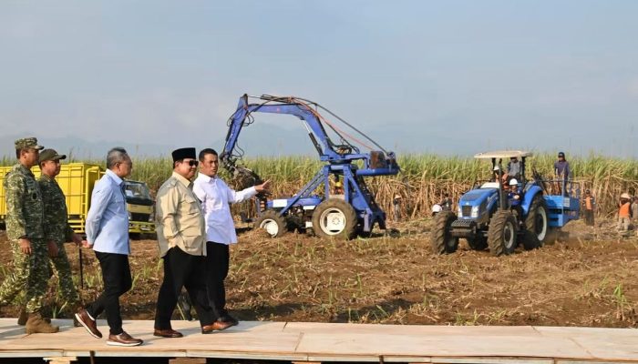 Prabowo Pimpin Panen Raya TNI, Perkuat Ketahanan Pangan Nasional