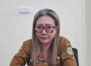 RSUD Anuntaloko Parigi Percepat Layanan Lewat Mobile JKN