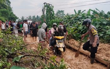 Banjir Terjang Kasimbar, Jalur Trans Sulawesi Tertutup Longsoran