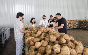 Hilirisasi Kelapa Morowali Buka Peluang Baru Petani Sulteng