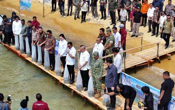 Bupati Poso dan Gubernur Sulteng Tebar Benih Nila di Danau Poso