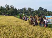 Cetak Sawah Baru Kini Panen Perdana, Erwin Dorong Parimo Kembali Surplus